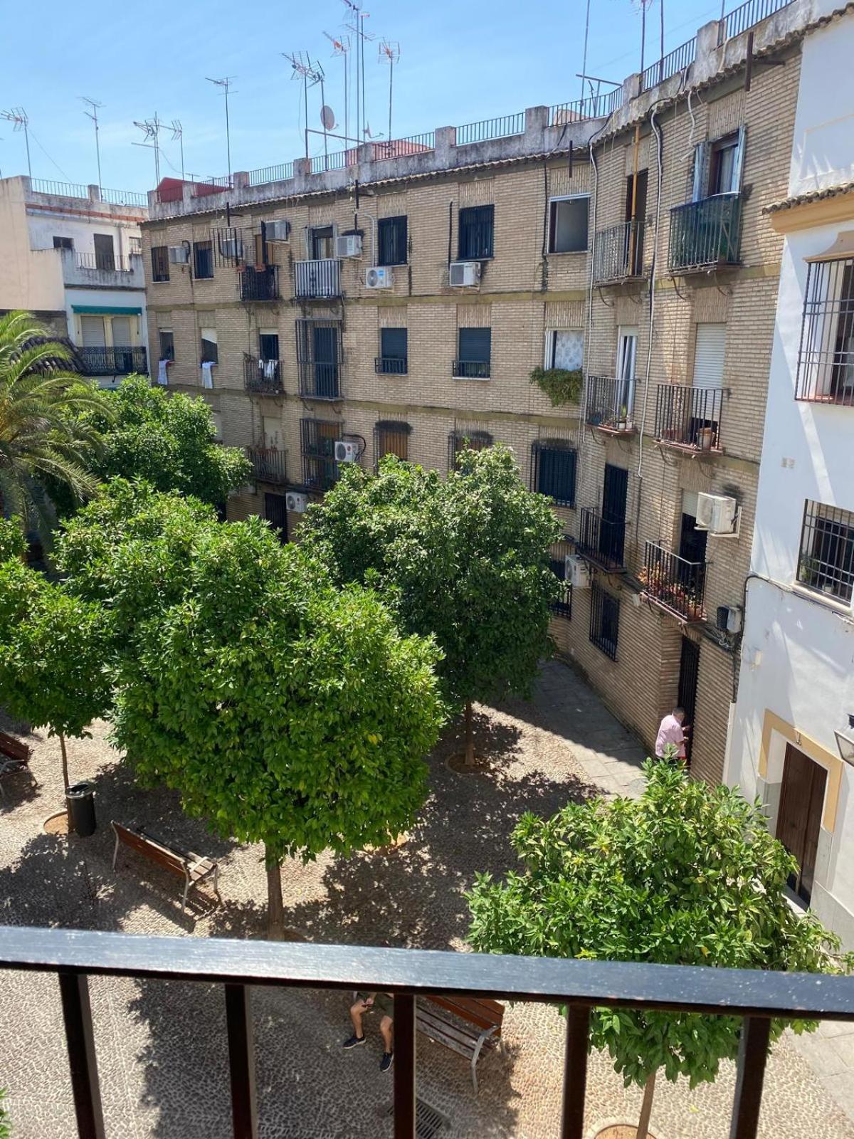 Apartamento La Escalerita Córdoba Exterior foto