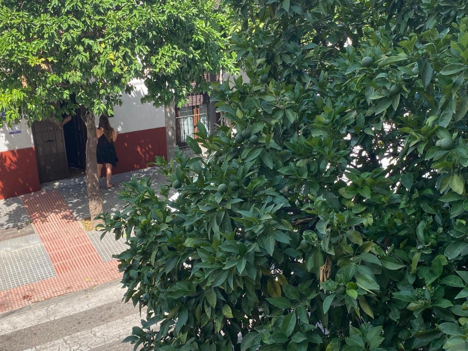 Apartamento La Escalerita Córdoba Exterior foto